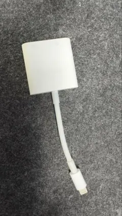 Apple純正　Lightningコネクタ アダプター A1698