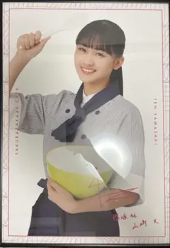 Item thumbnail for item 773bc6d3-267a-4639-8574-121e05ea70f4