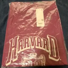 Item thumbnail for item 6445a0b5-99b7-420d-a32b-6661e3b601ad