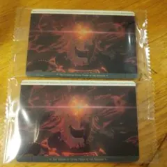 ゼルダの伝説 ティアーズ・オブ・ザ・キングダム 2枚セット