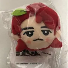 ミセス 韓国 ぬいぐるみ 2025年最新】ミセス 韓国 ぬいぐるみの人気アイテム - メルカリ