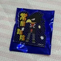 ホークス 常闇踏陰 カード類 まとめ売り ホークス 常闇踏陰 カード類 まとめ売り