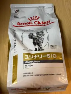 即日匿名発送】ブロッコリー（アーリーキャノン）5250粒 - メルカリ