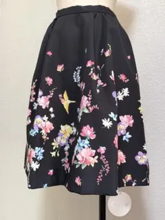 新品 chestyのサムネイル