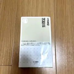 国際法 人文