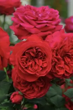 y218Mei様 リクエスト 2点 まとめ商品