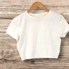 wild fable　Ｔシャツ　【L】　ホワイト　半袖