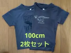 美品★恐竜デザイン★半袖Tシャツ★2枚セット★100cm★グレー