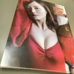 新谷姫加 クリアファイル ヤングアニマル 2024.11号付録