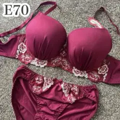 新品タグ付き E70 ブラ＆ショーツ 下着 上下セット ワインレッド系