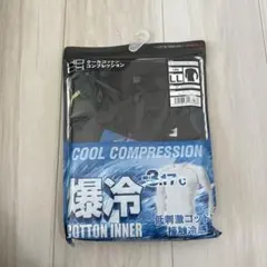 Item thumbnail for item 5fbb293f-18ec-455a-b1f4-12ef09ca37a3