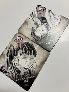 鬼滅の刃　ダイニング　フィナーレ期　コースター　胡蝶しのぶ＆栗花落カナヲ