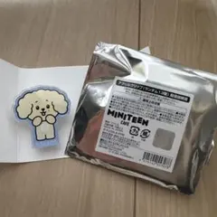 MINITEEN アクリルクリップ