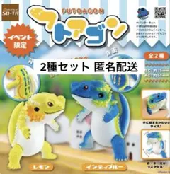 2025年最新】フトアゴンの人気アイテム - メルカリ