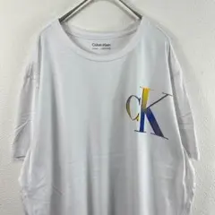 USA古着 カルバンクライン calvin klein ポロシャツ Tシャツ