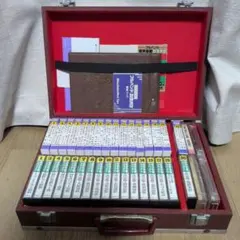 ハイゲンキ ビデオ付きセット 真氣光 氣中継装置 動作品 中川雅仁 真圧