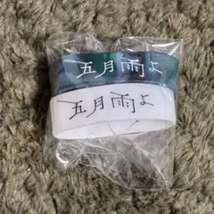 Item thumbnail for item aca188a5-b6ba-4f06-8516-16eef8b6164c