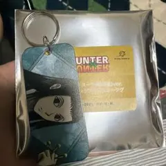 HUNTER×HUNTER イルミ トレーディングアクリルキータグ