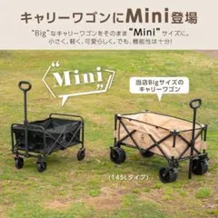 Item thumbnail for item d165412c-49fb-4199-8b75-c31595d872c0