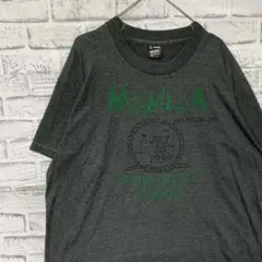 USA製90sヴィンテージTシャツ！シングルステッチグレー古着 XL0616