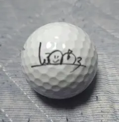 2025年最新】渋野日向子サインの人気アイテム - メルカリ