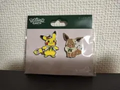 ポケパーク カントー 公式 ピンズ ピンバッジ ピカチュウ ヒトカゲ