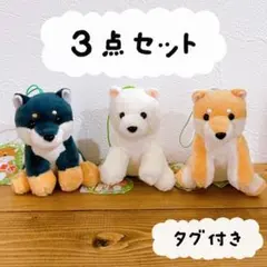 2026年最新】くったり柴犬の人気アイテム - メルカリ