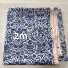 LIBERTY FABRICS タナローン エターナル ロデン・ウッド〈2m〉