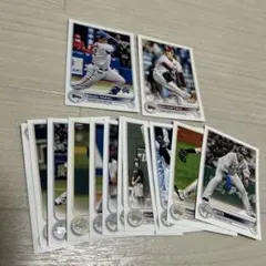 Item thumbnail for item 70ea43d1-646c-4a00-ba1a-4a89d7afdf37