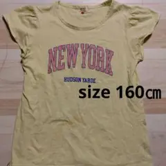 １６０㎝、Ｔシャツ、半袖服