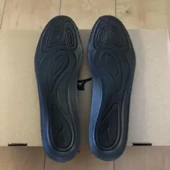 Mizuno モナルシーダネオインソール 【中敷き】24.0〜25.0新品未使用