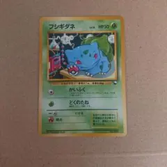 フシギダネ クイックスターターギフト