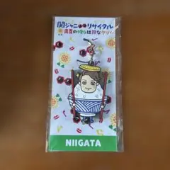 関ジャニ∞ ライブグッズ　キーホルダー 新潟限定