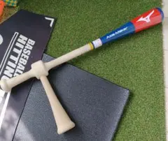 Item thumbnail for item 531e0ebc-317c-4147-8e78-1fc09267919f