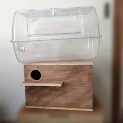 Item thumbnail for item fb25cdaf-8e69-4e88-8e6a-3cbcd9113784