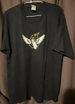 00s y2k アットザゲイツ At The Gates Tシャツ 黒 M 00s y2k アットザゲイツ At The Gates Tシャツ 黒 M - メルカリ