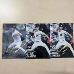 種市篤暉 カルビープロ野球チップスカード 3枚セット