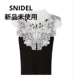 レースカラーノースリニット