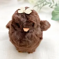 ふわふわの子ペンギンのコッコちゃん