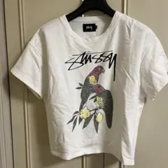 Stussy コットンTシャツ