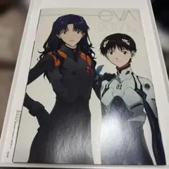 シン・エヴァンゲリオンパンフレット&EVA-EXTRA-EX（漫画冊子)非売品