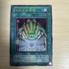 2026年最新】セベクの祝福 遊戯王の人気アイテム - メルカリ