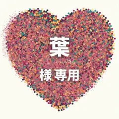 葉 様　専用ページ