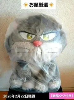 2026年最新】ディズニー ルシファー ぬいぐるみの人気アイテム - メルカリ