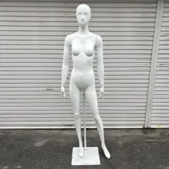 パールイデア パール マネキン 全身 トルソー レディース