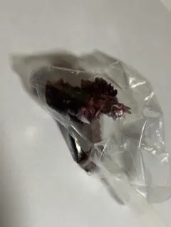 一番くじ　大怪獣列伝G デストロイア(第1形態) モンスターヘッドマグネット