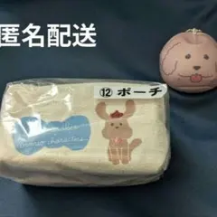 2026年最新】ice on ぬいぐるみ サンリオ ユーリの人気アイテム - メルカリ