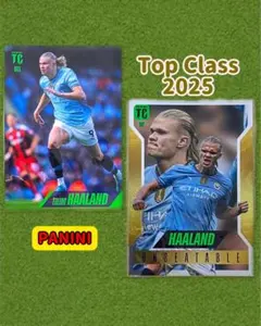 2026年最新】ハーランド カードの人気アイテム - メルカリ