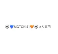 専用ページ