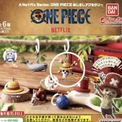 A Netflix Series: ONE PIECE めじるしアクセサリー